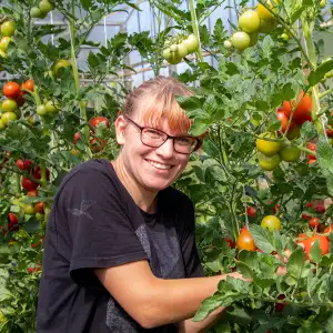 Eine Schülerin des Bremer Lernwegs steht im Gewächshaus an einem großen Tomatenbusch mit vielen reifen Tomaten und lächelt in die Kamera