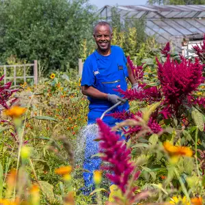 Pflanzenpflege, Anzucht, Aussaat und Ernte