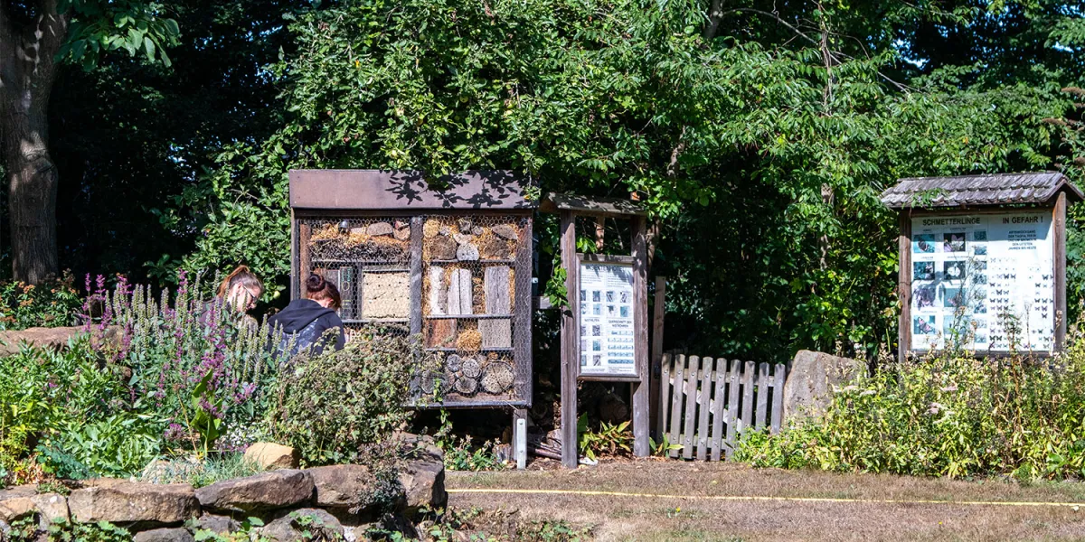 Umweltbildung für Multiplikatoren*innen
