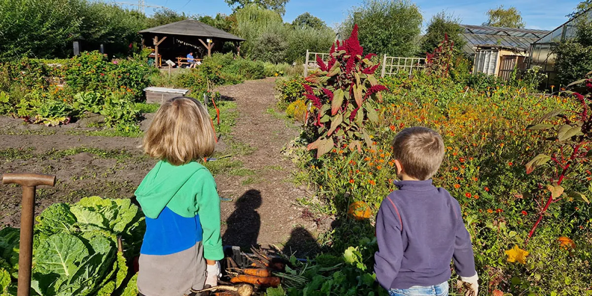 Kinder bei der Ernte