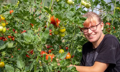 Ausbildung zum Gärtner:in ohne Berufsschule